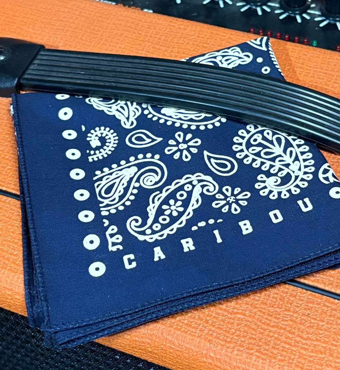 Caribou Lodge Paisley