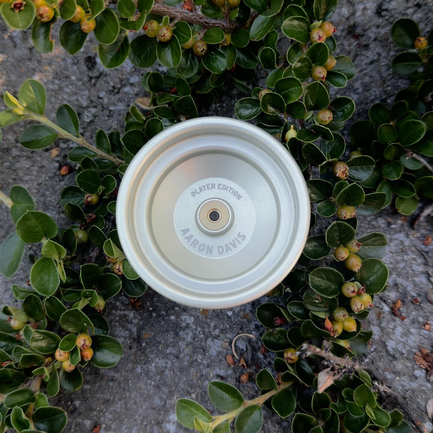 Caribou Lodge x One Drop - Summit 2